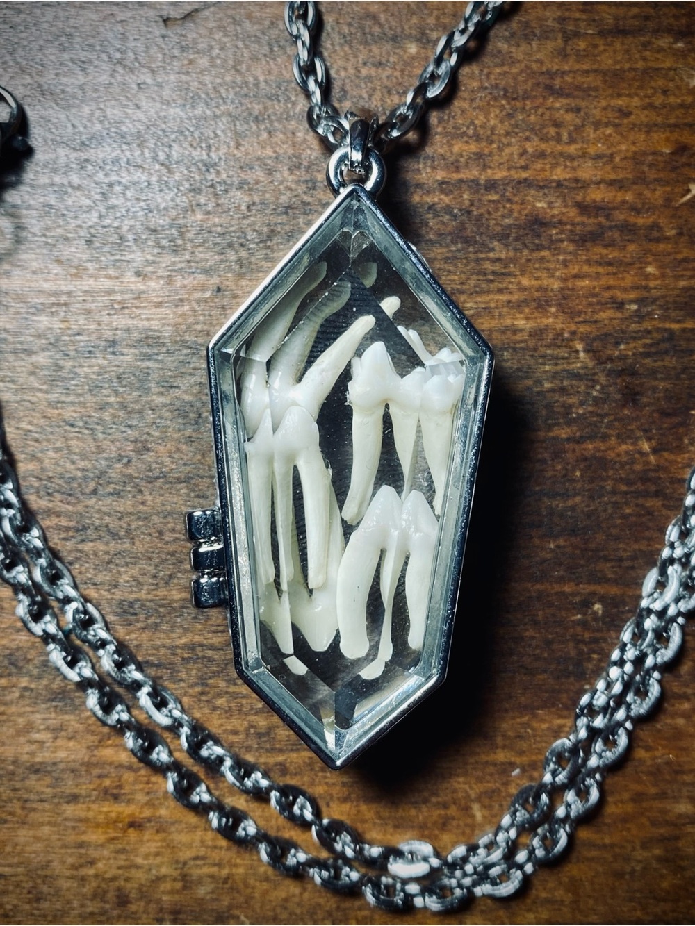 Possum Teeth Coffin Glass Locket Chain Necklace
